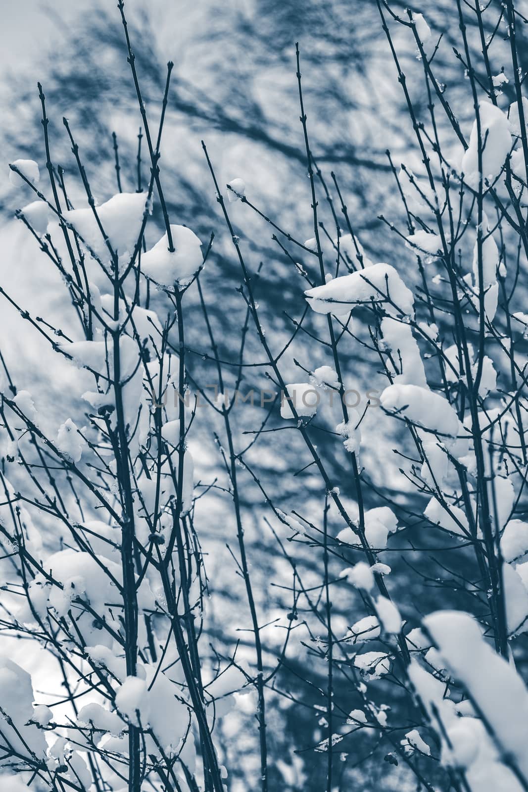 Cold winter snowy landscape at middle of the day. Monochrome