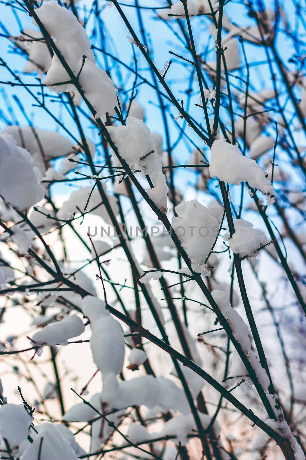 Cold winter snowy landscape at middle of the day