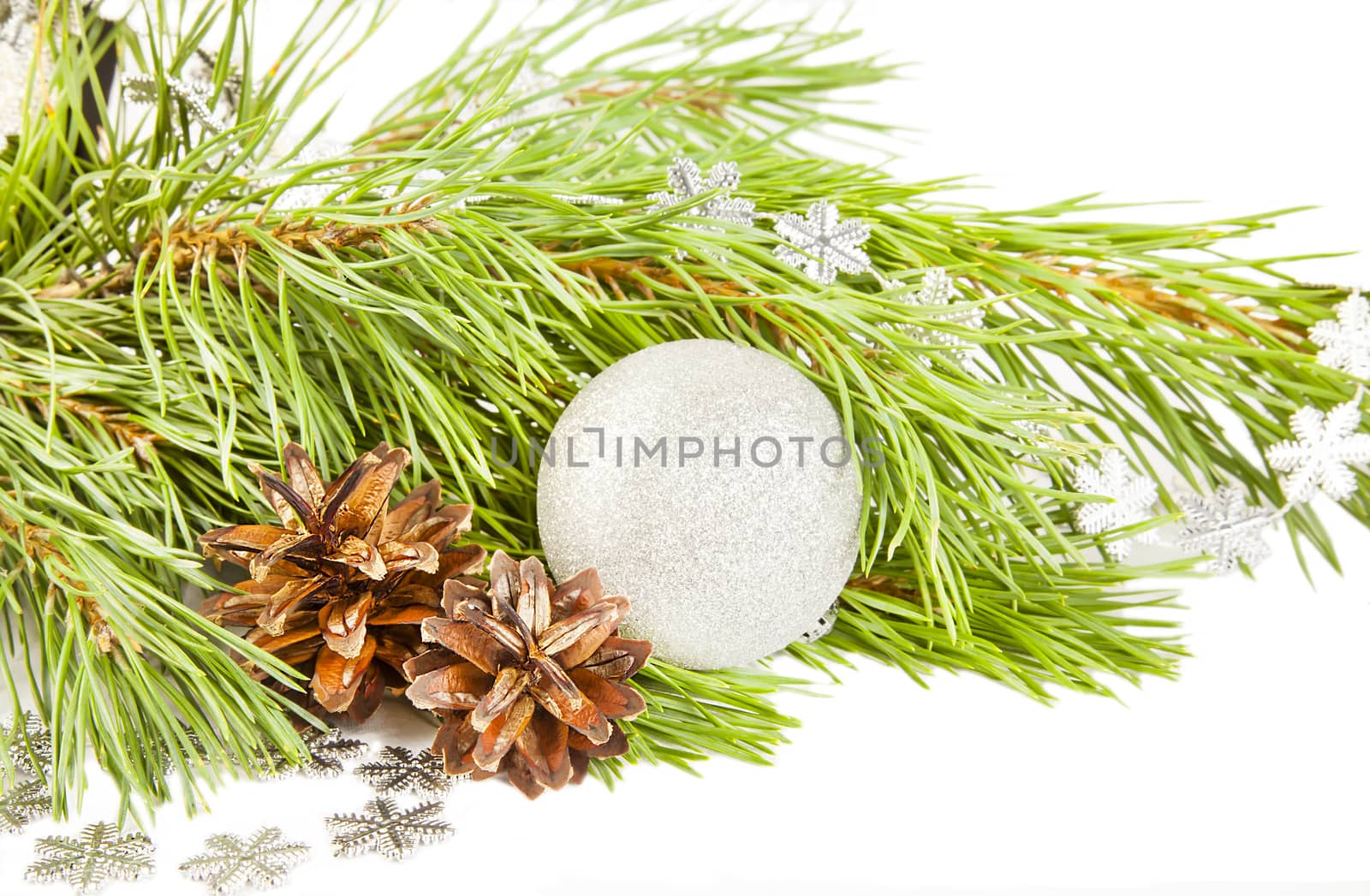 Christmas composition with fir tree, cones and silver ball