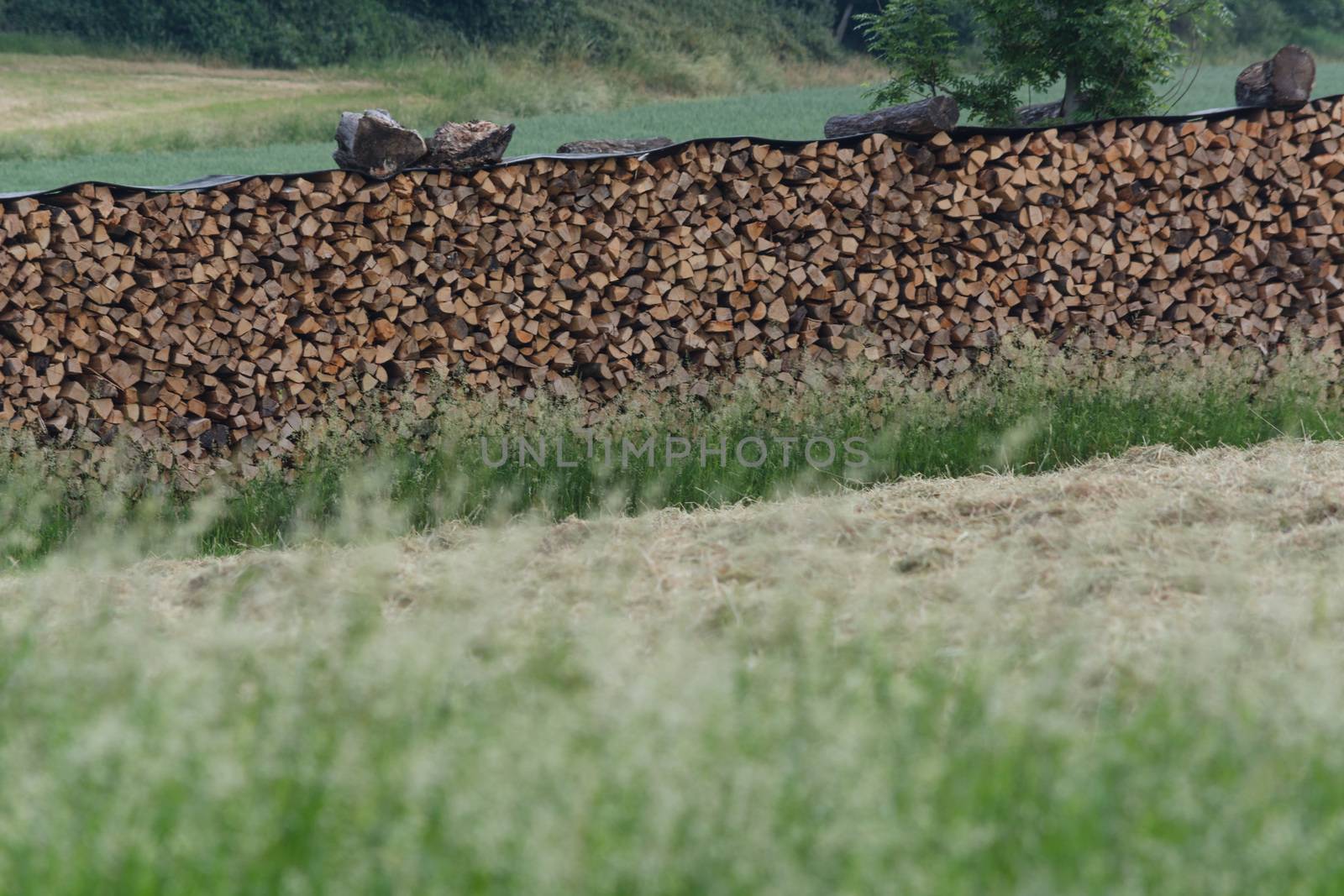 Beautifully stacked firewood stock for winter on a large meadow in the countryside.