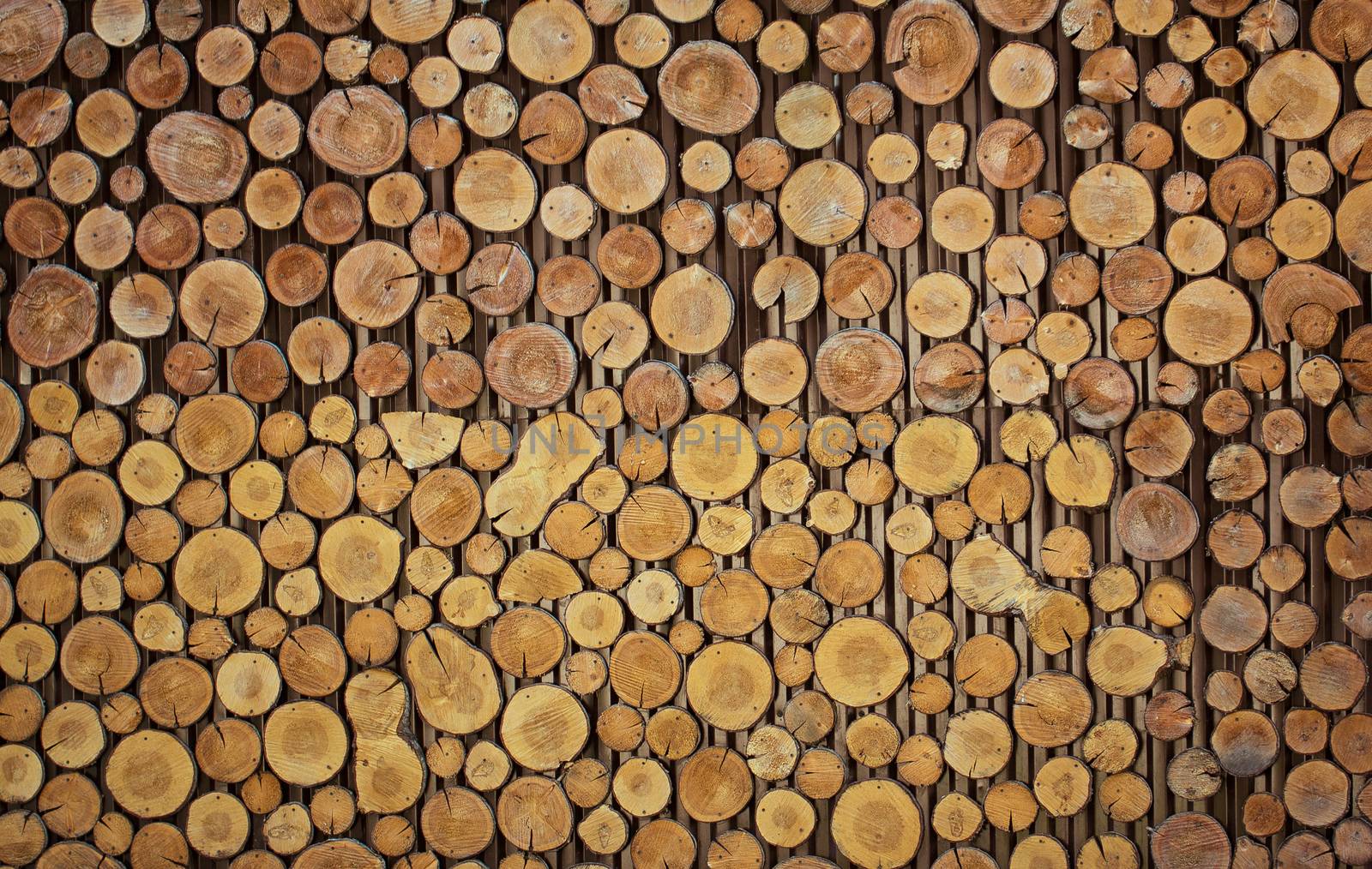 wall made from a lot of cutted logs,cross section of the trunk with annual rings