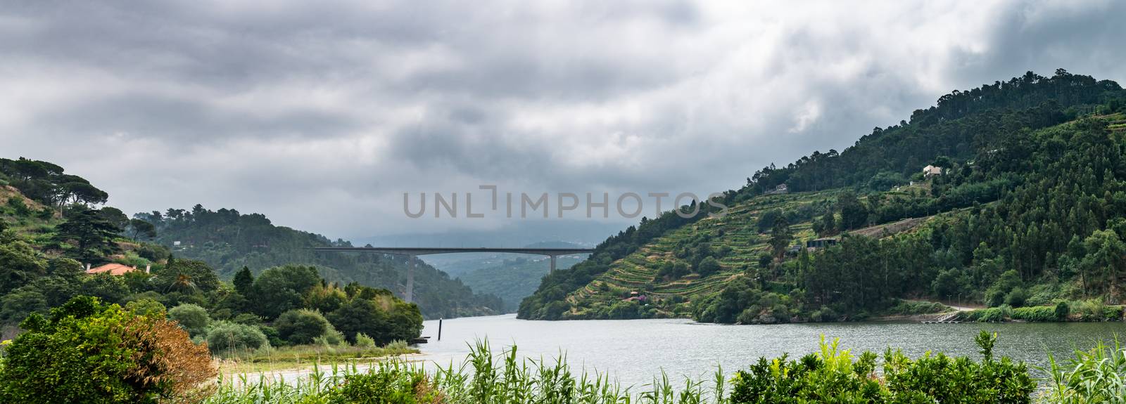View of Douro Valley, Portugal.  by homydesign