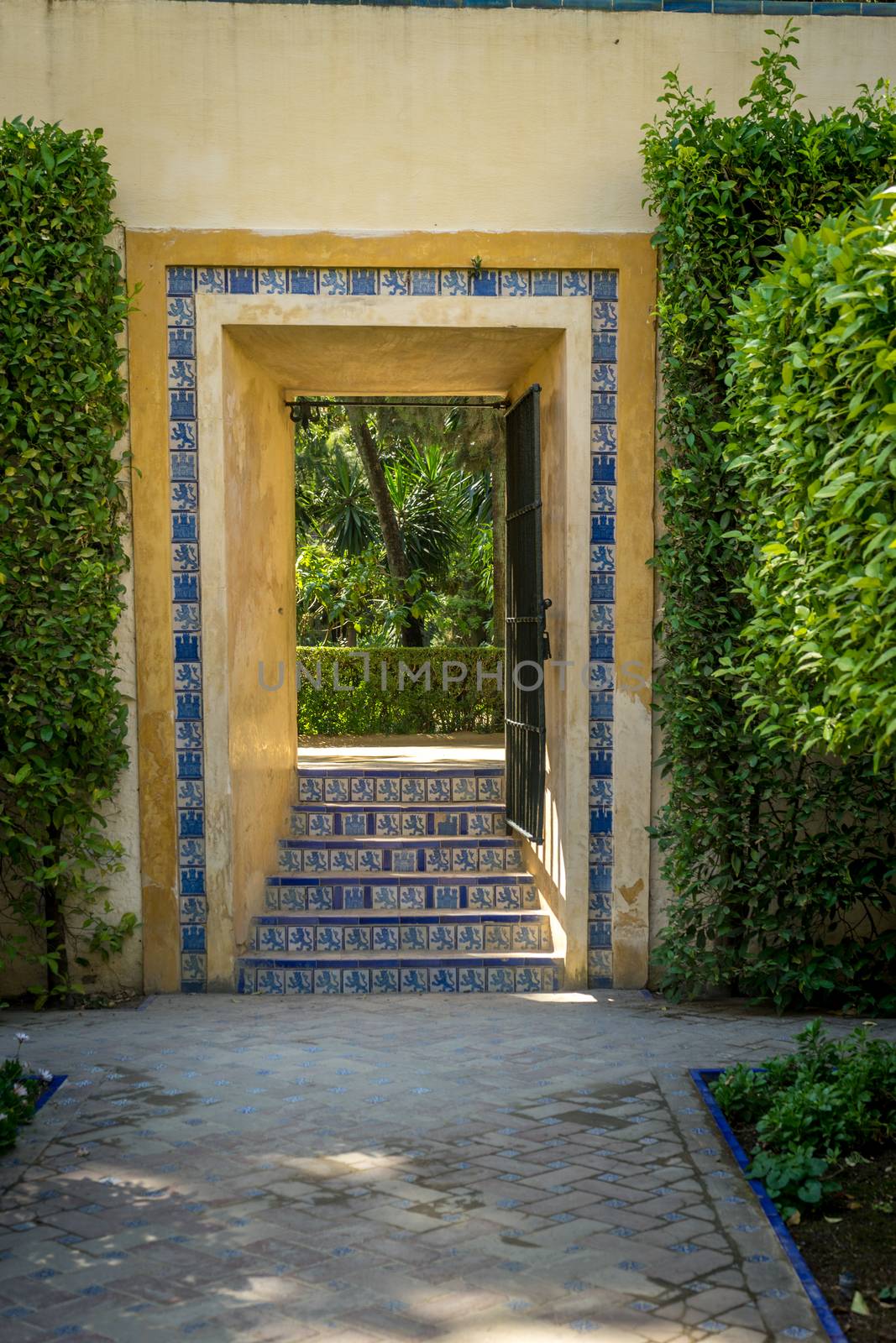 Steps leading to a garden in Sville, Spain, Europe by ramana16