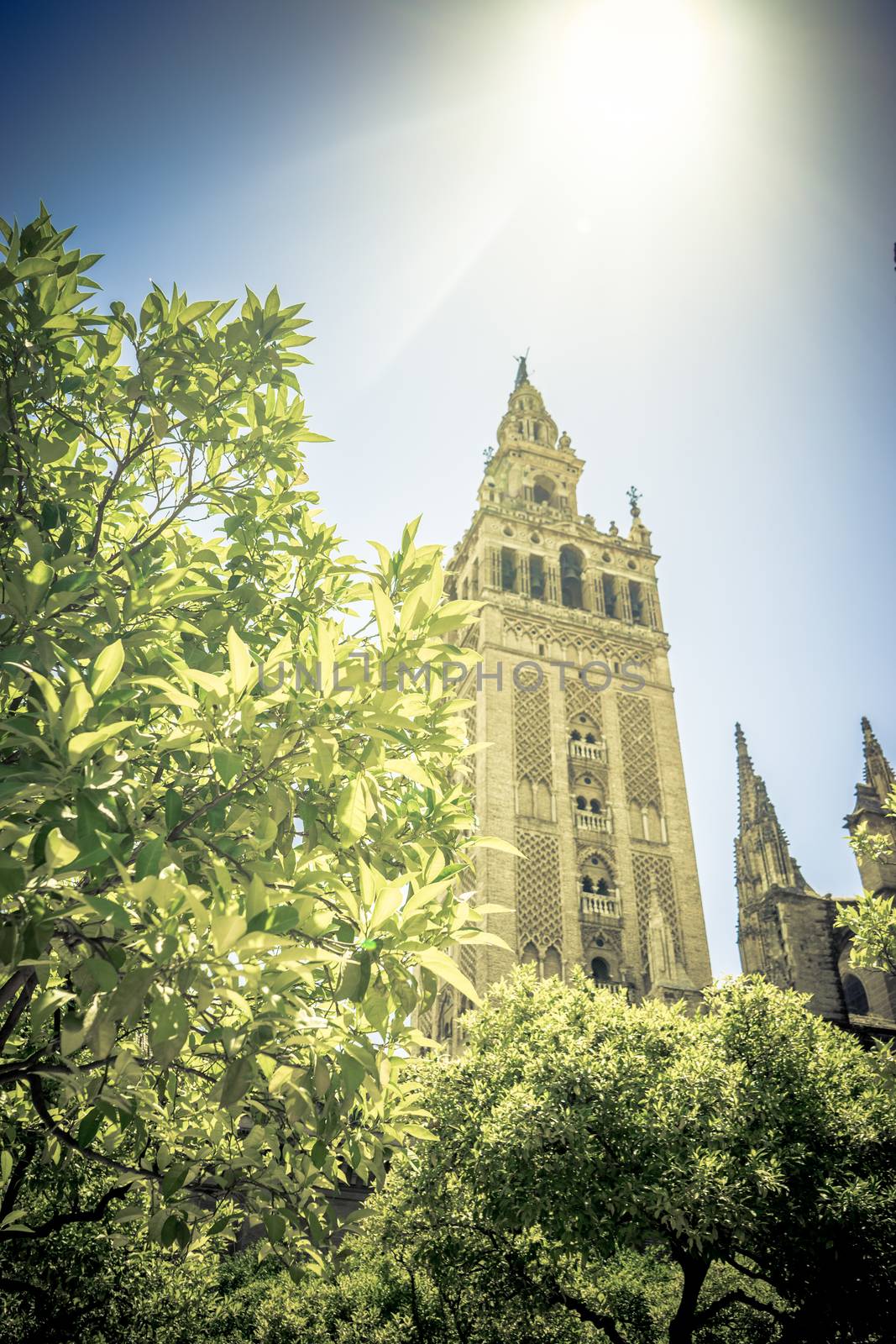 Sunshine over the Giralda bell tower of the cathedral in Seville, Spain, Europe