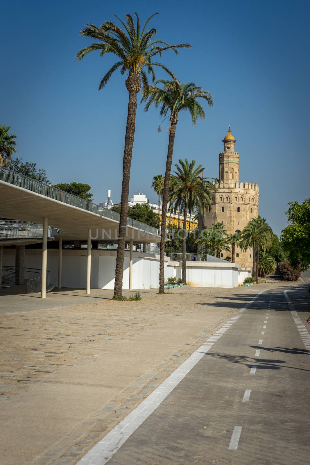 Palm trees against a blue sky in Seville, Spain, Europe wih Torr by ramana16