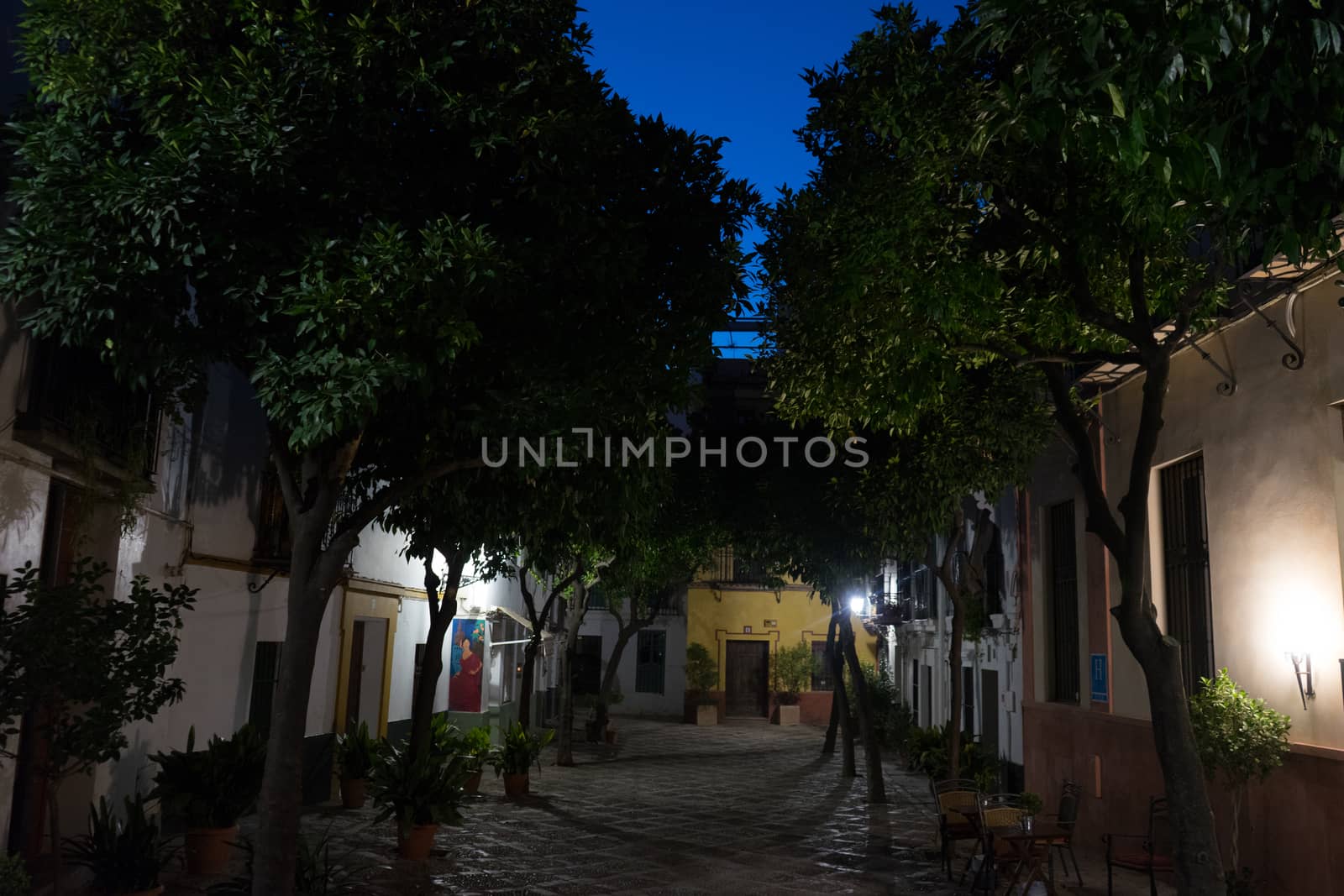 The streets of Seville at night in Seville, Spain, Europe