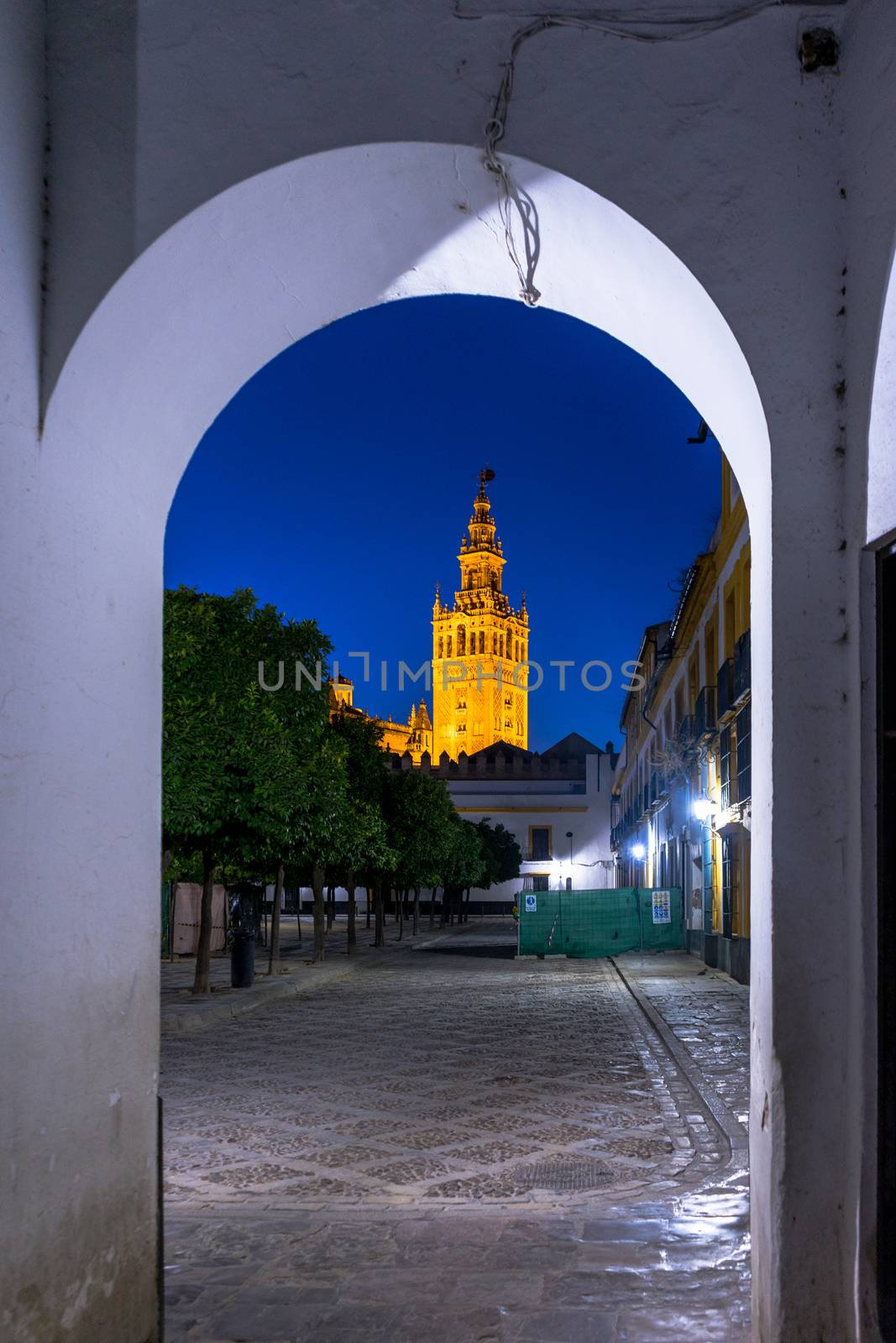 The Giralda bell tower lit up at night in Seville, Spain, Europe