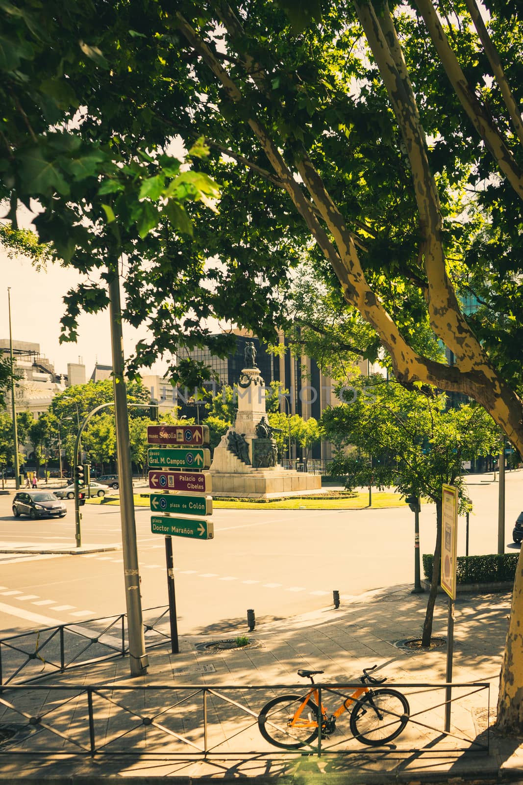 Cool shade of a tree on a warm summer day in Madrid, Europe, Spa by ramana16