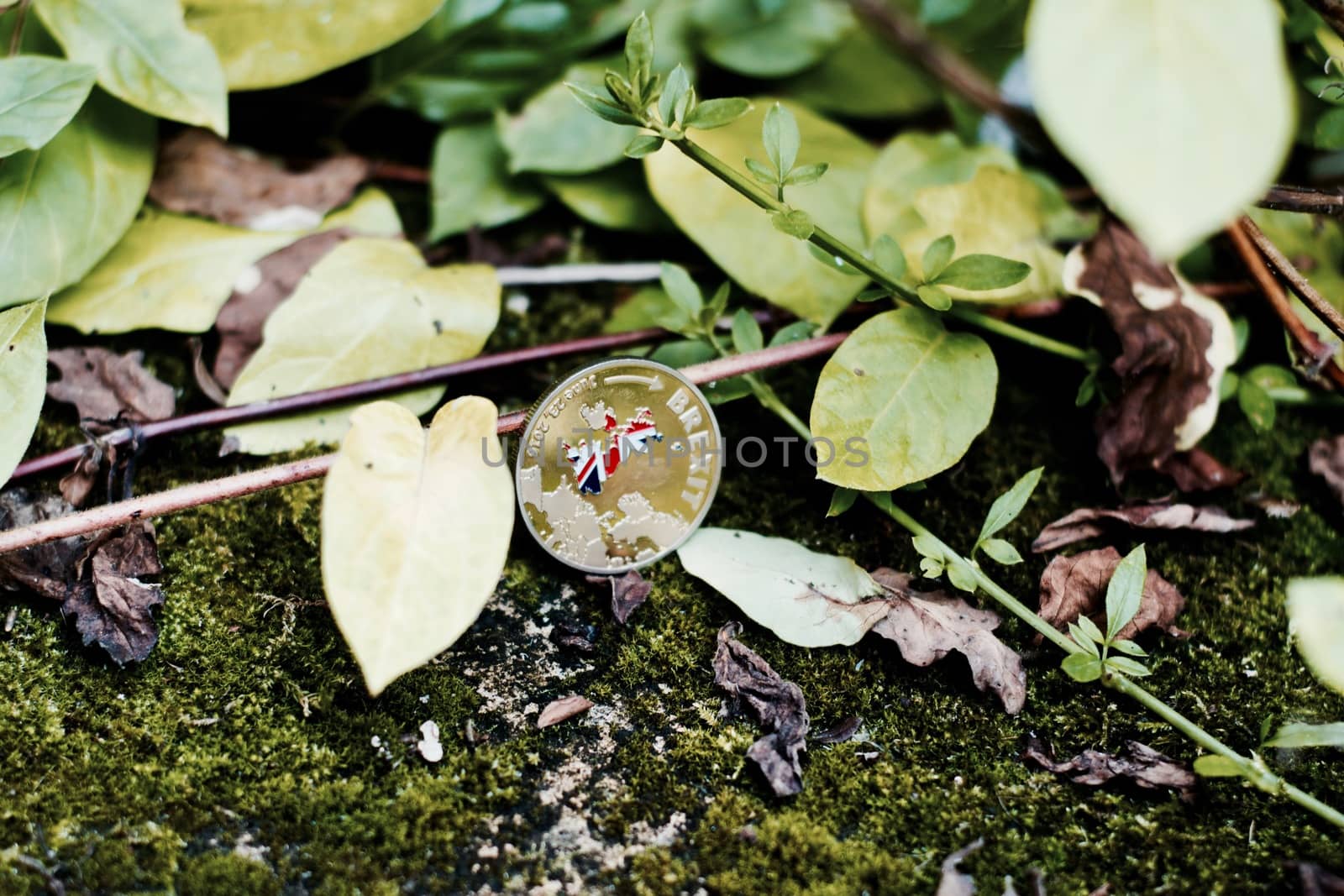 Big gold brexit coin in forest near green plants and leafs. Europe leaving.