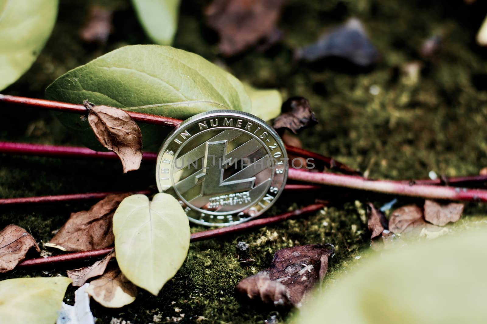 Digital currency physical silver litecoin coin in green nature area.