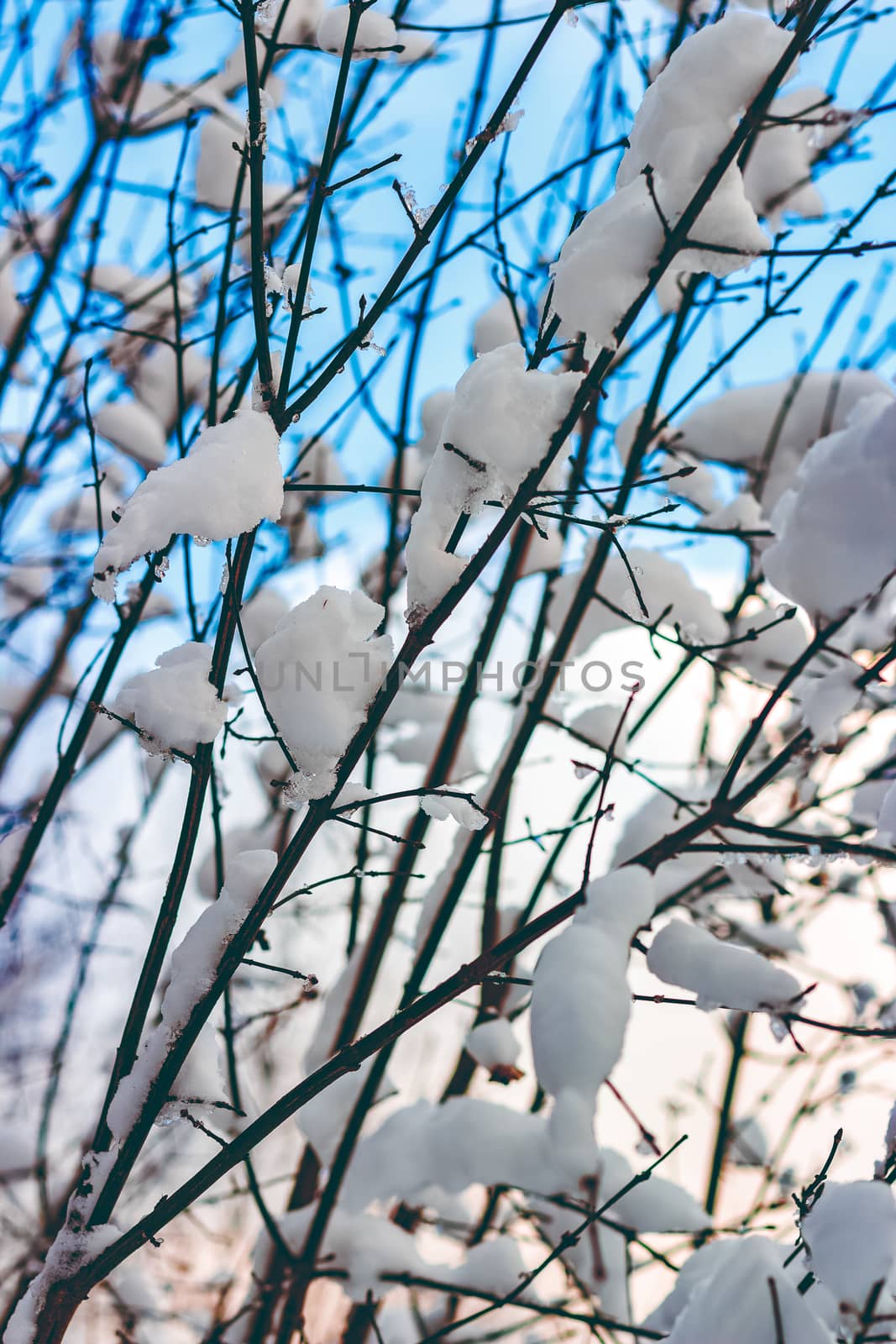 Cold winter snowy landscape at middle of the day