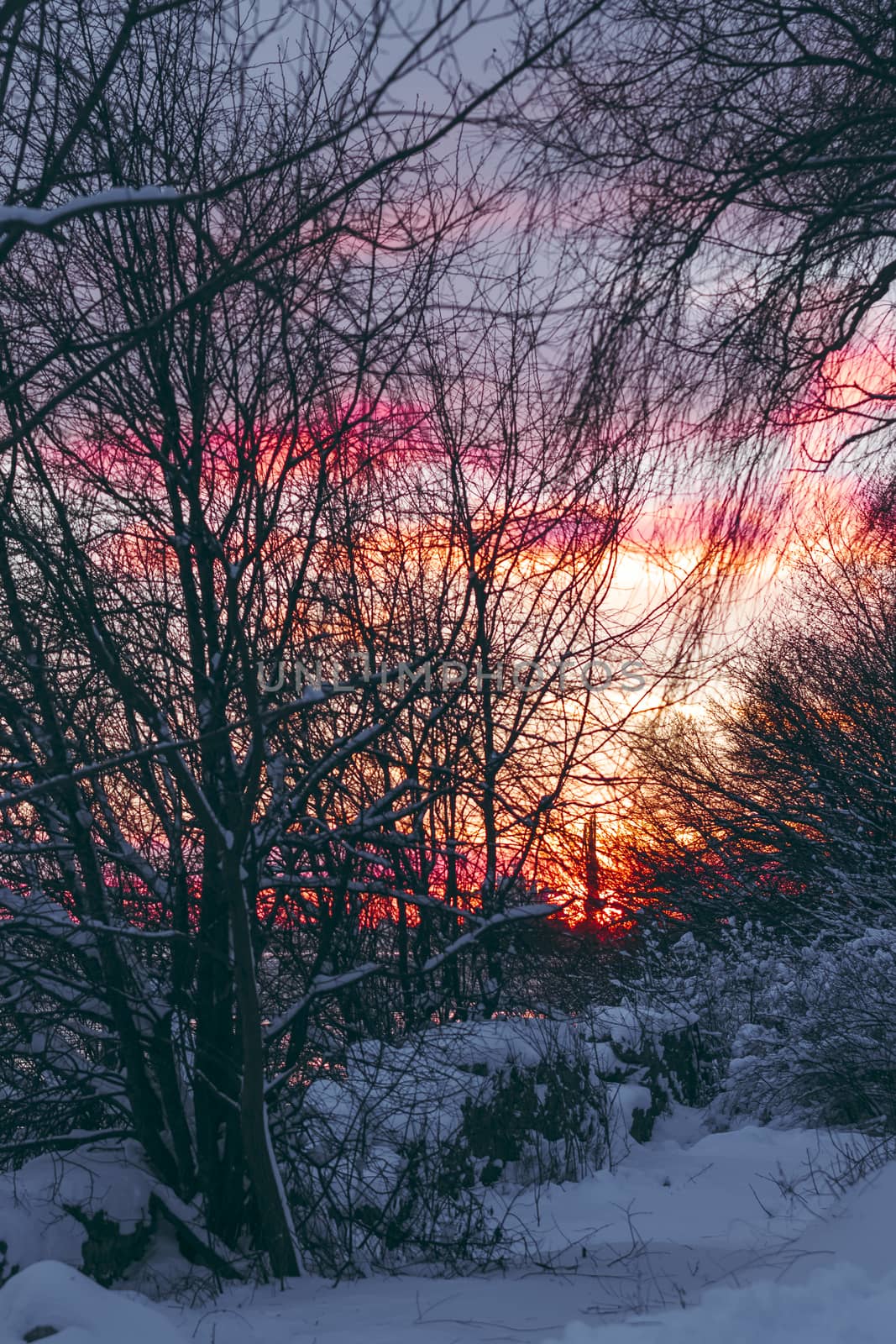 Colorful winter sunrise with purple and orange clouds