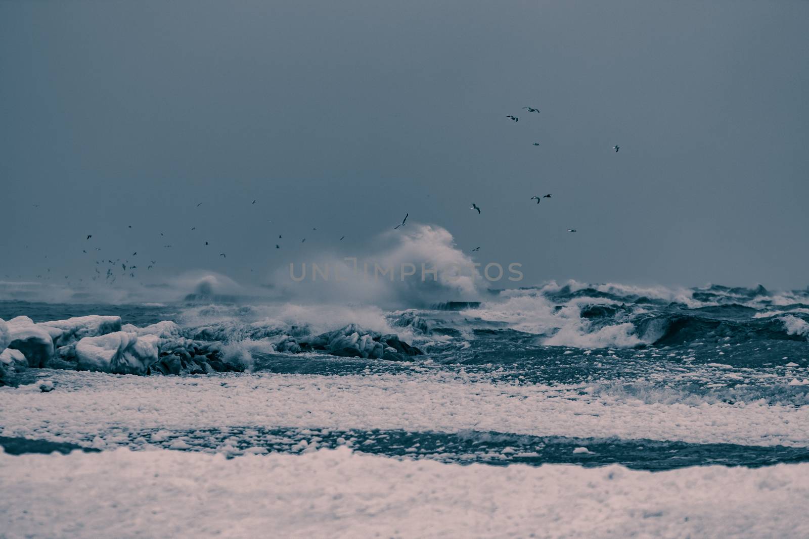 Big waves at the sea in stormy weather. Toned dark blue