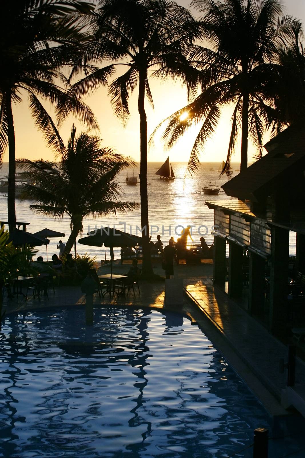 Silhouettes of palm trees on sunset - Philippines