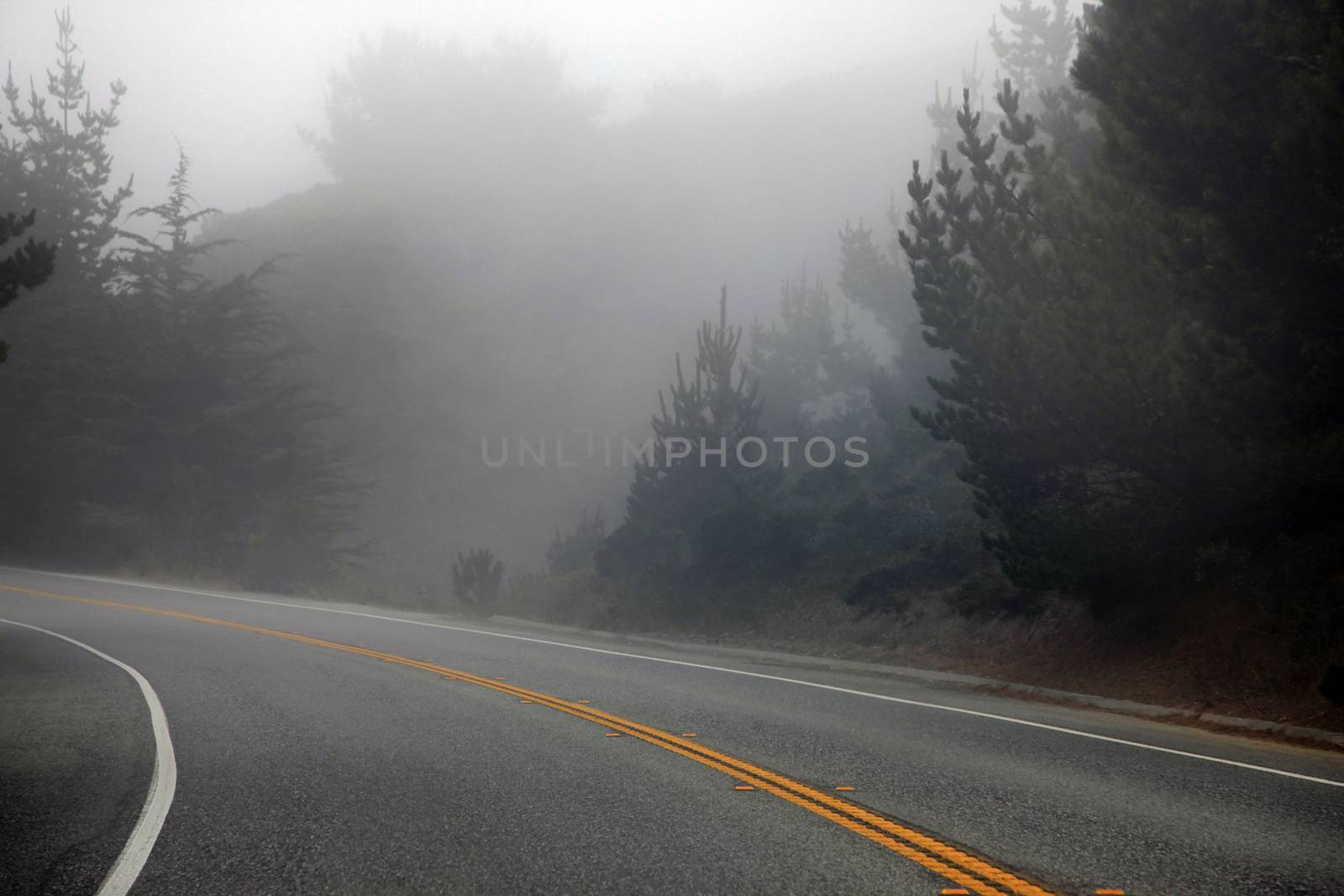 Road in the morning fog. California
