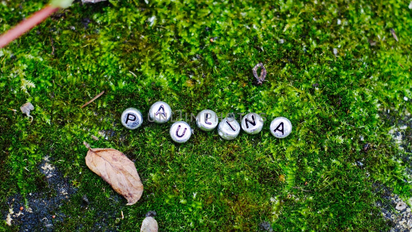 Silver inscription on the green grass. Paulina name in the forest.