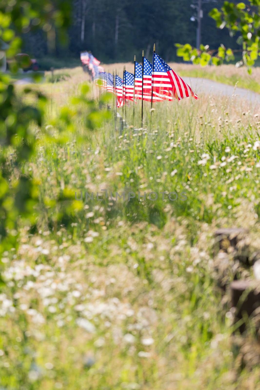 Long Row of American Flags Blowing in Wind on Fence.