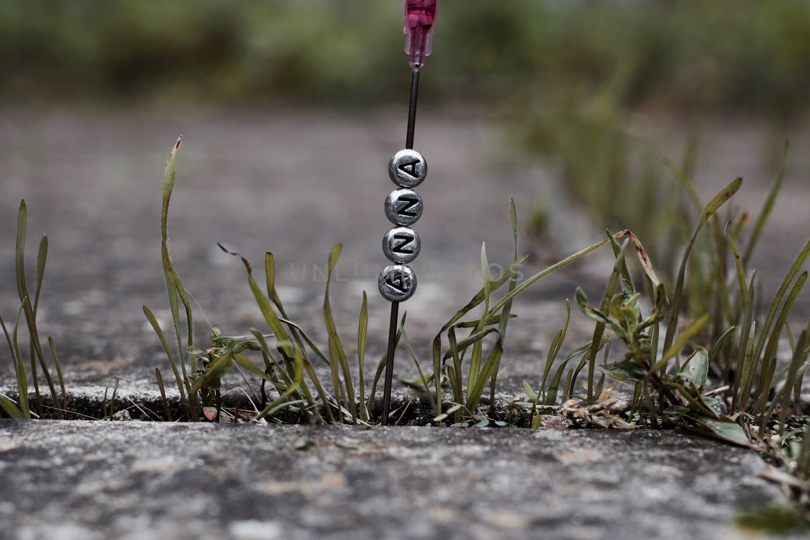 Small silver letters Anna. Polish name on the needle in the green garden.