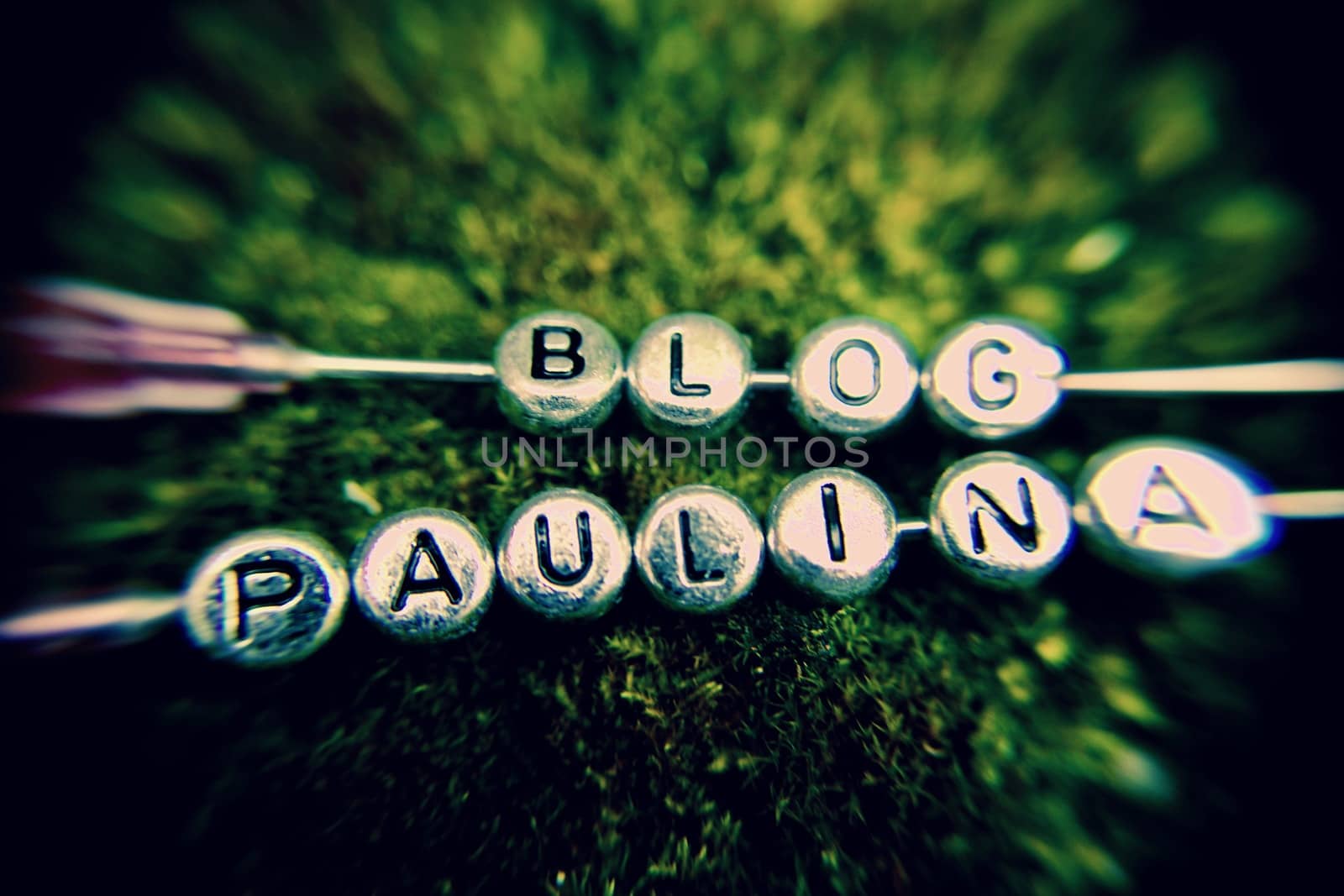 Small silver letters. Paulina Blog on the green natural concept.