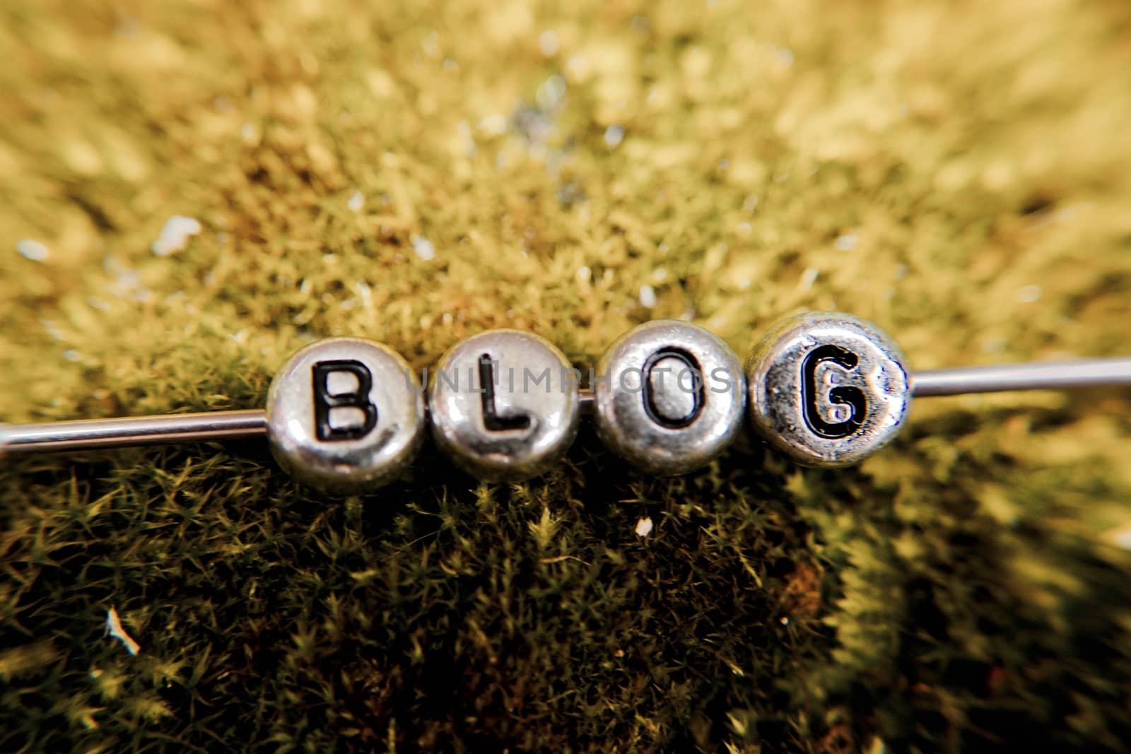Small silver letters with blog sign on green natural grass in the forest.