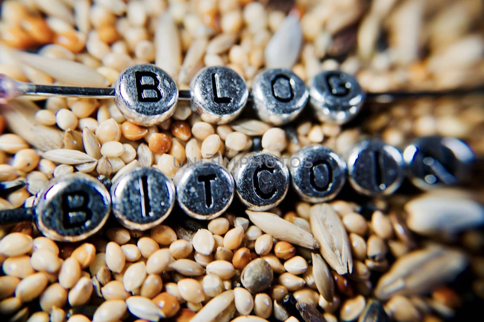Digital currency bitcoin. Bitcoin blog sentence on the fresh seeds.