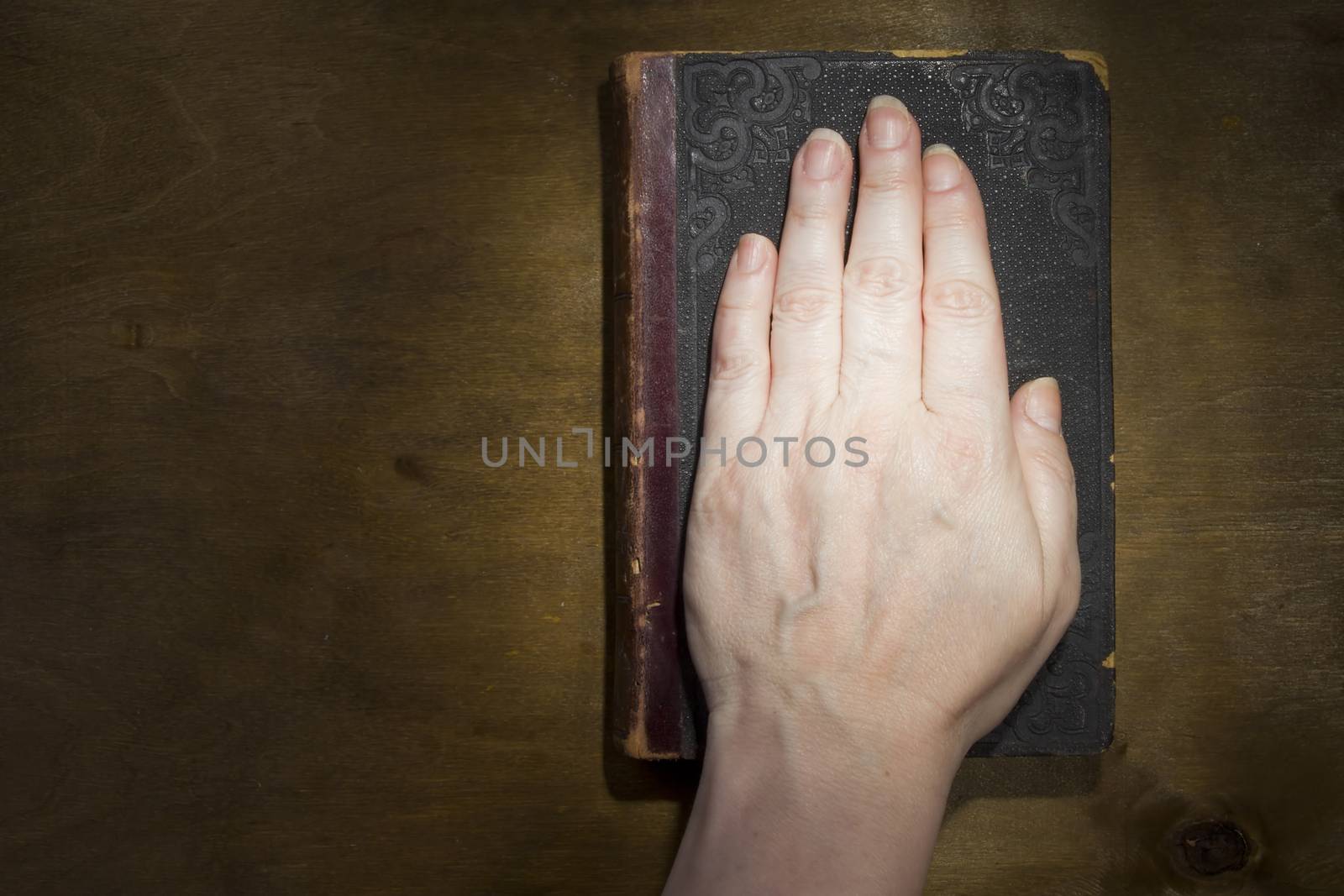 Female hand on the Bible by VIPDesignUSA