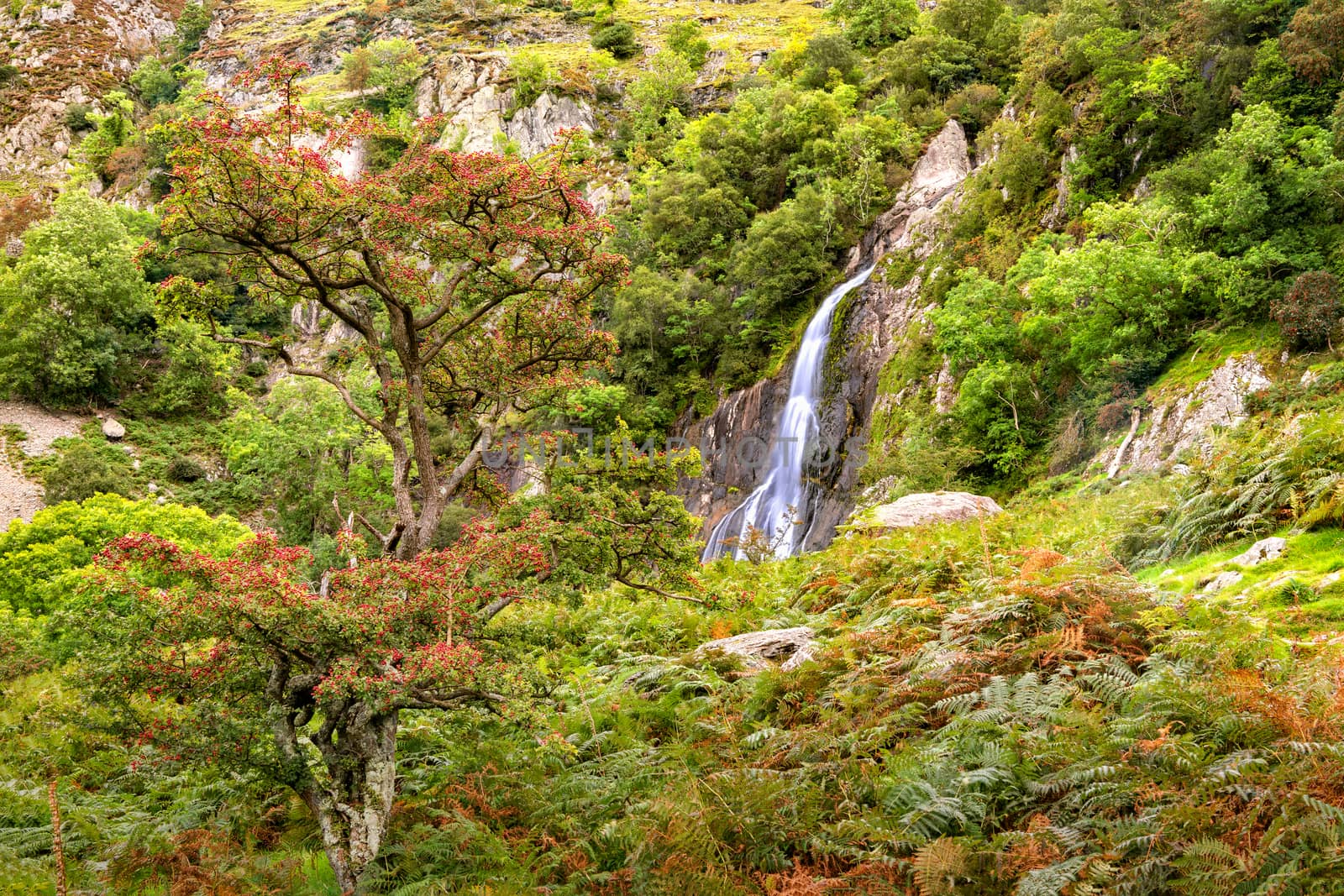 View of Aber Falls in Showdonia National Park