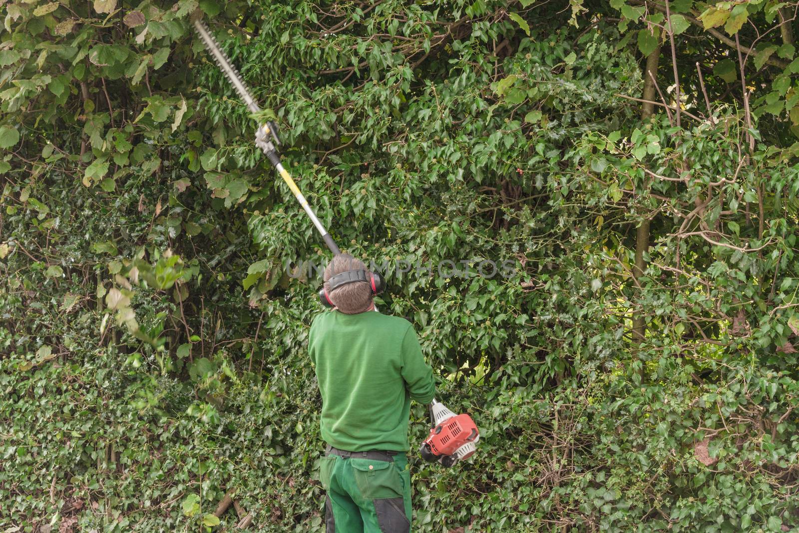 Cutting a hedge with engine hedge trimmer. by JFsPic