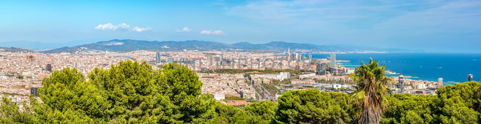 Panoramic view of Barcelona city from mountain Montjuic. Copy space in sky.
