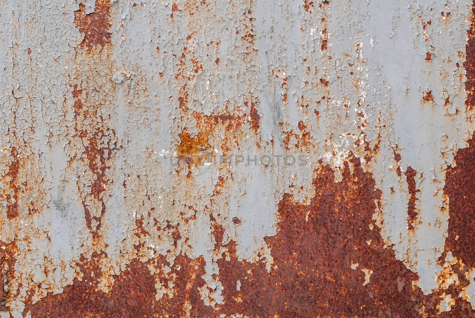 surface of rusty iron with remnants of old paint, grey texture, background by uvisni