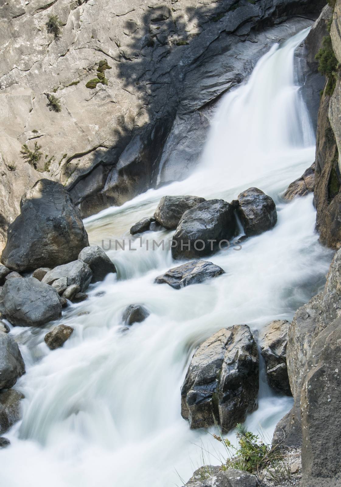 Roaring River in Kings Canyon, CA