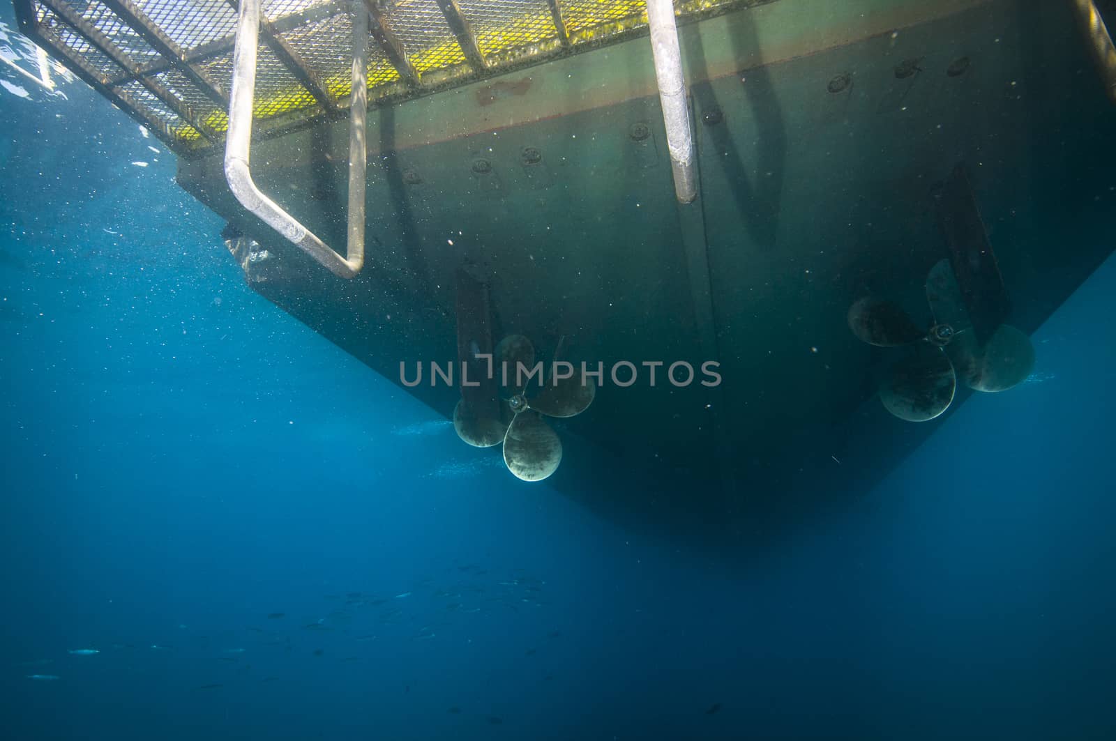 Bottom-side of boat anchored off Santa Barbara island, CA by Njean