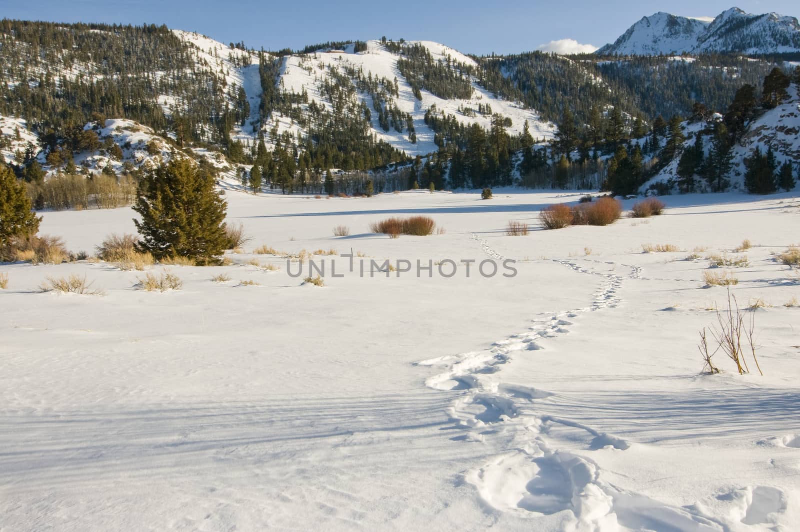 Lake on June Lake Road, CA frozen in winter with footprint leading out.