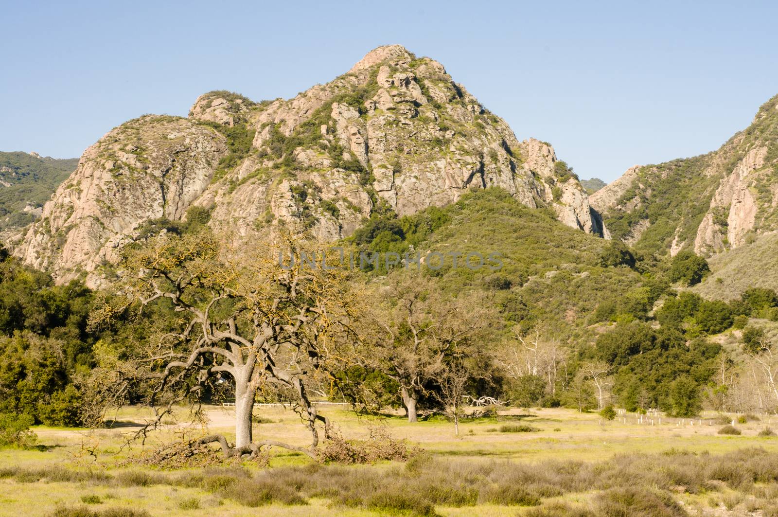 Malibu Creek State Park, California by Njean