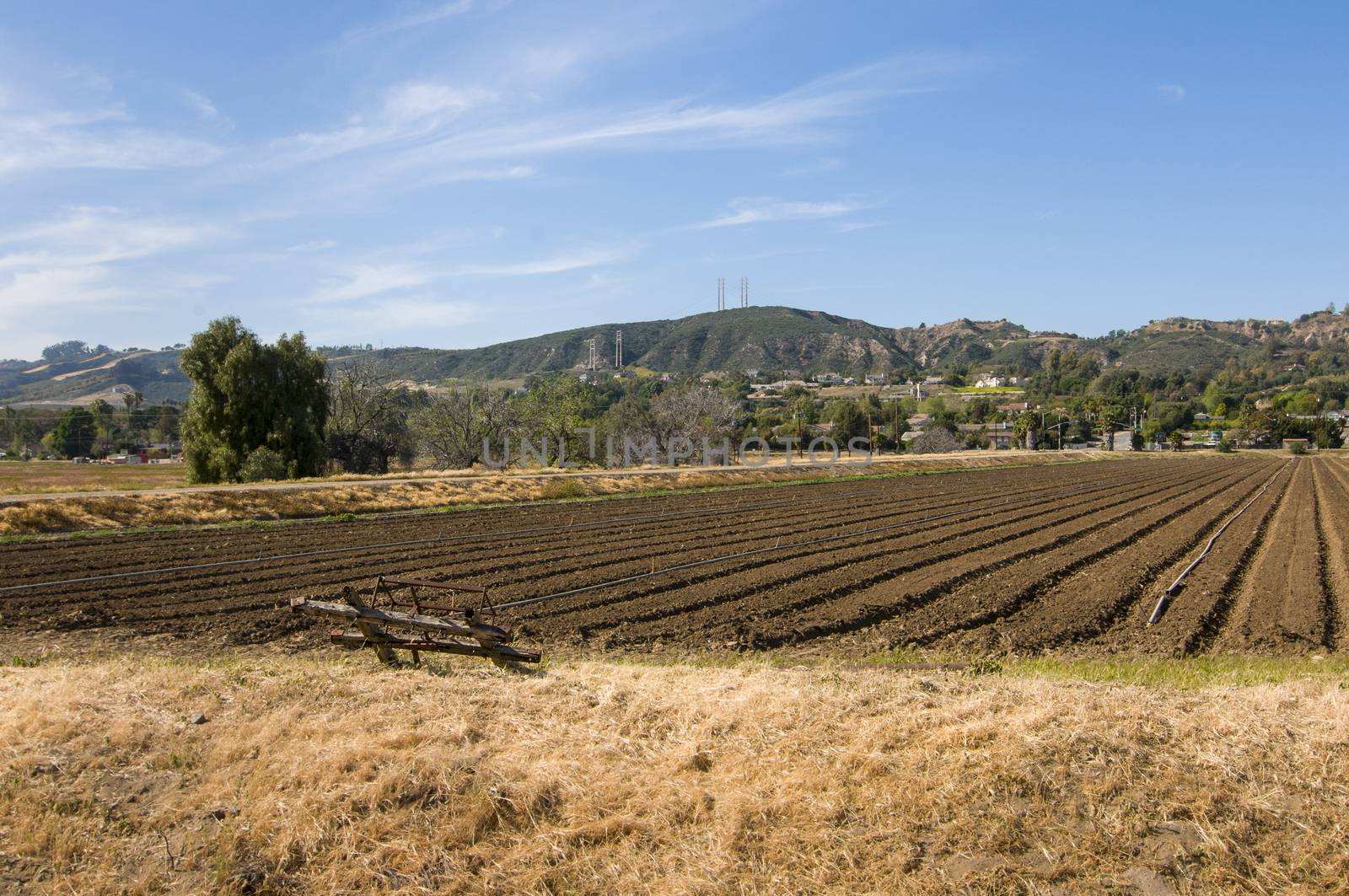 Farm field in Camarillo, California