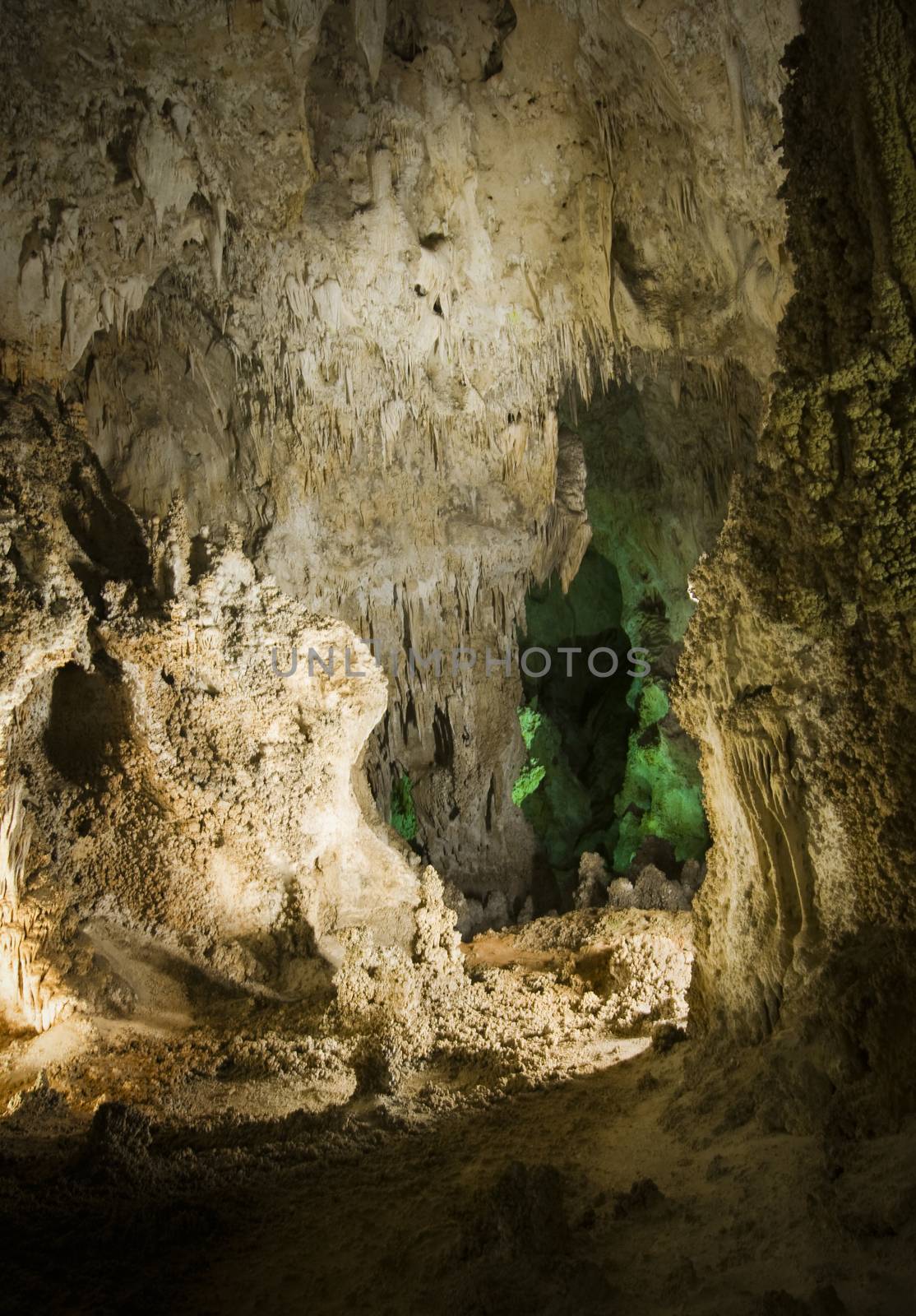 The Big Room in Carlsbad Caverns, NM by Njean
