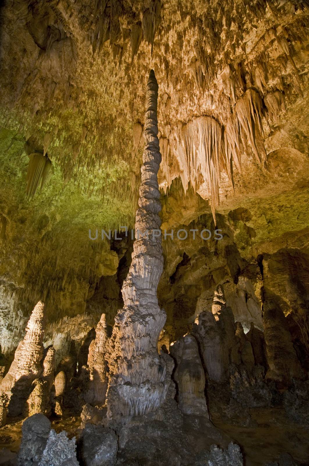 The 'Totem Pole' in the Big Room in Carlsbad Caverns, NM