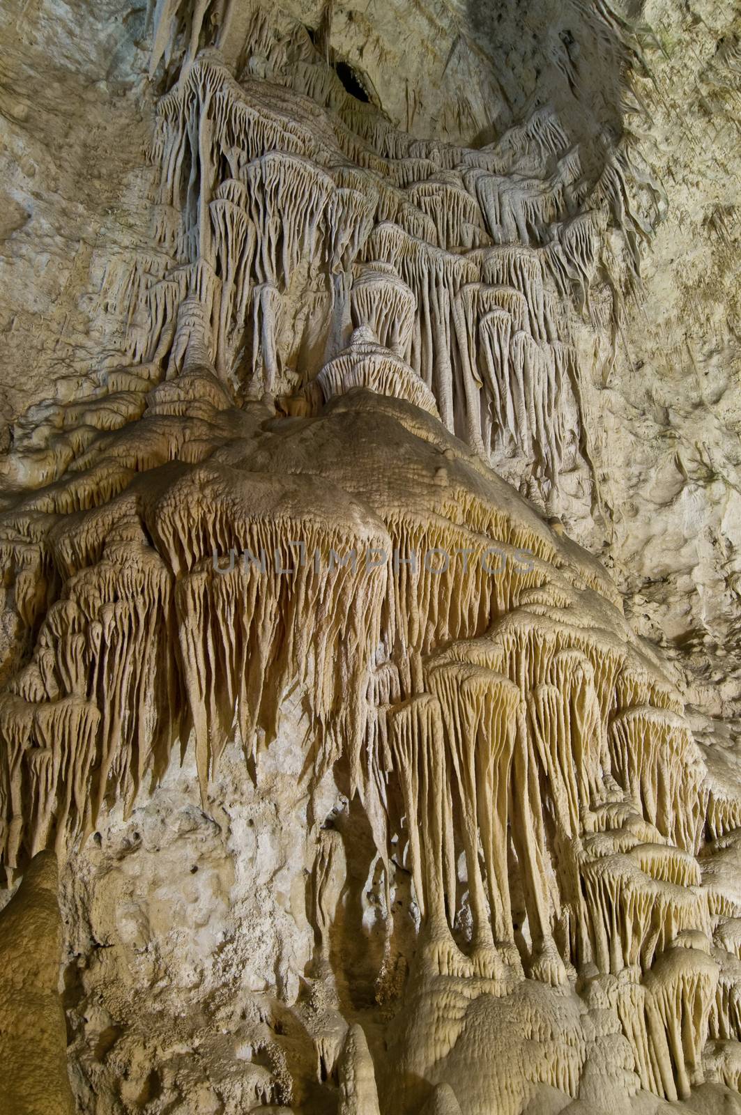 Draperies in Carlsbad Caverns, NM by Njean