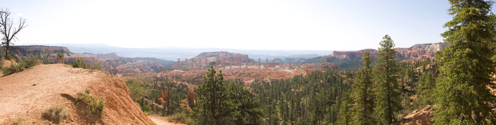 Tower Bridge Trail panorama, Bryce Canyon, Utah by Njean