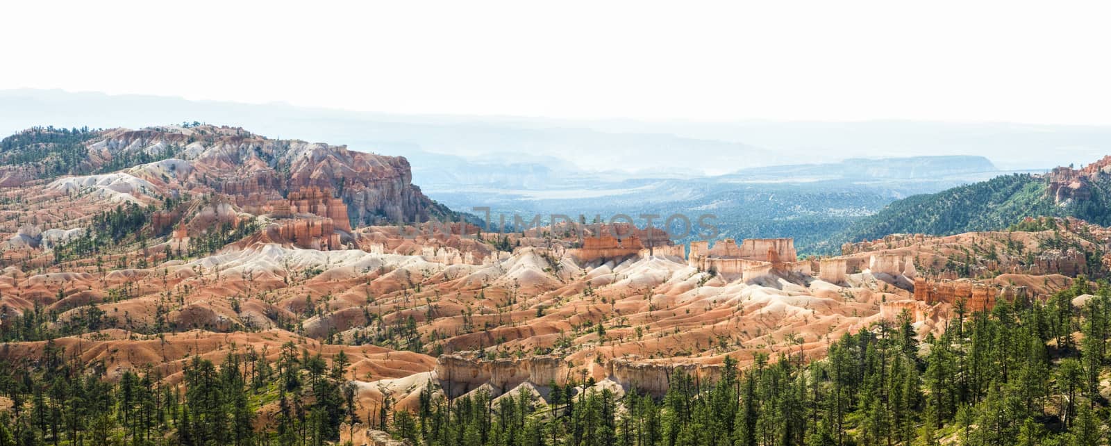 Tower Bridge Trail panorama in Bryce Canyon, Utah by Njean