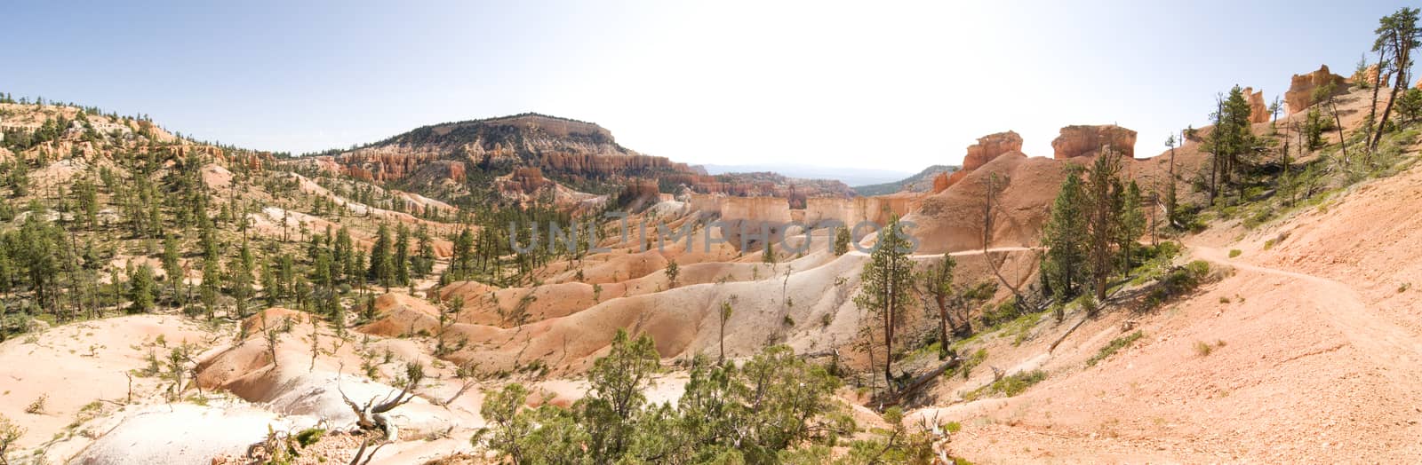 Tower Bridge Trail panorama, in Bryce Canyon, Utah by Njean