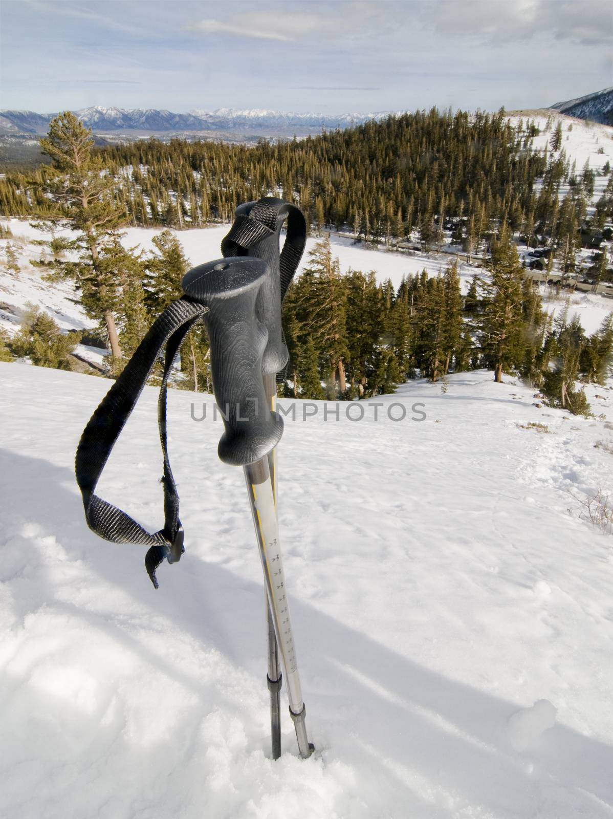 Trekking poles in the snow in Mammoth Lakes, CA