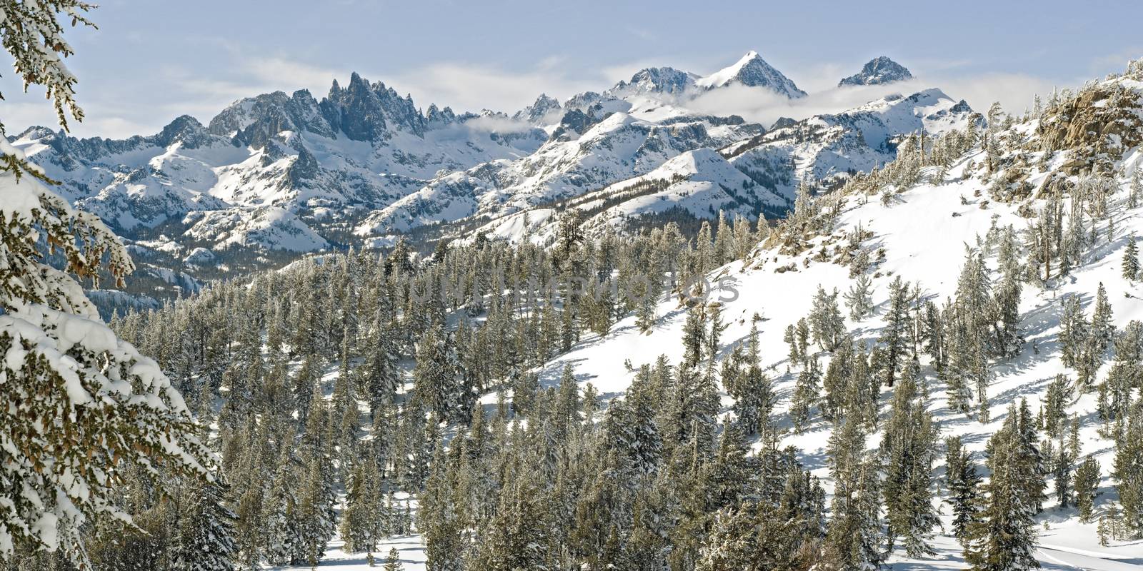 Winter wonderland in Mammoth Lakes, CA.