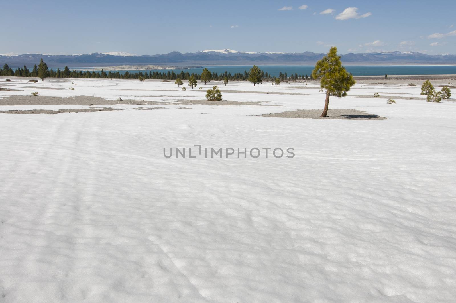 barren land with Mono Lake in distance, California by Njean