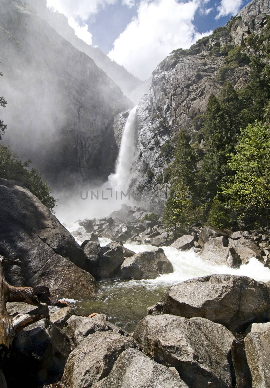 Lower Yosemite Falls(Yosemite National Park, CA) by Njean
