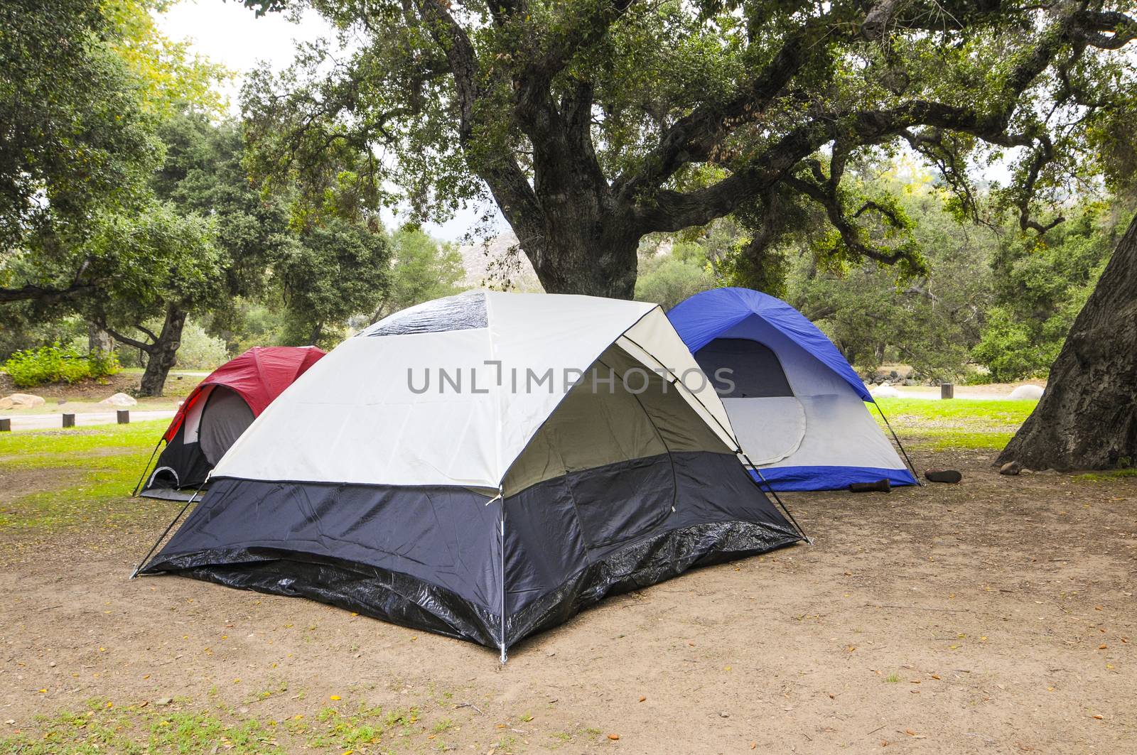 Tents ready for camping in California campground