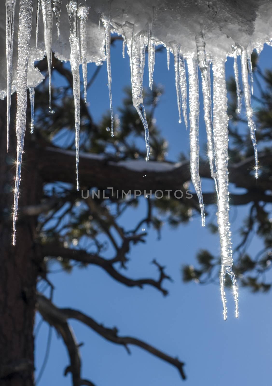 Hanging icicles by Njean