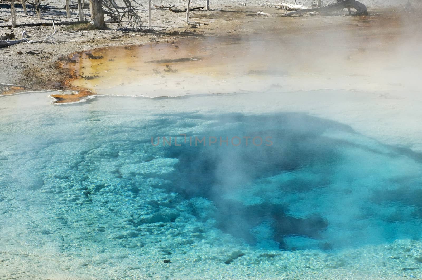 Fumarole by Fountain Paint Pots of Yellowstone National Park, Wy by Njean