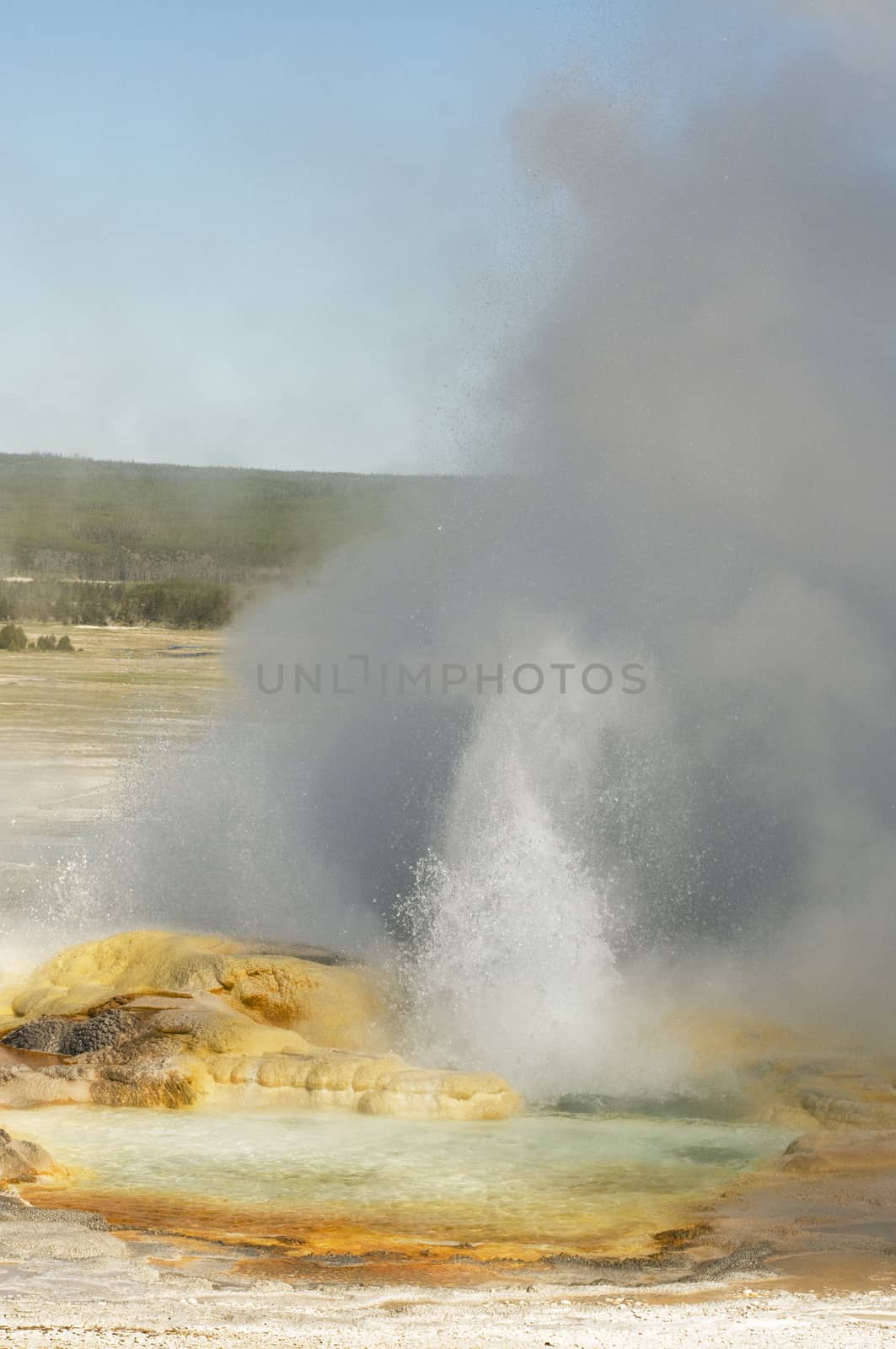 Spasm Geyer erupting and fuming in Fountain Paint Pots area in Y by Njean