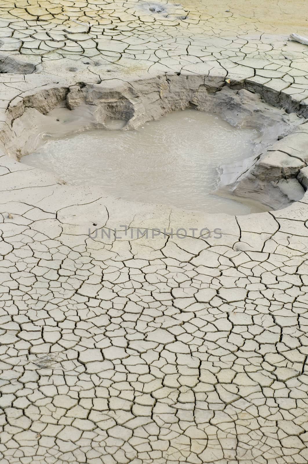 Mudpot in the Mud Volcano Group of Yellowstone National Park, Wy by Njean